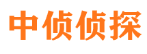 弥渡私家侦探公司